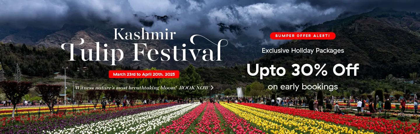 Tulip Festival