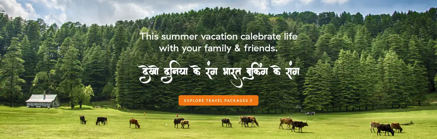 Offer: Summer special vacation tour packages.