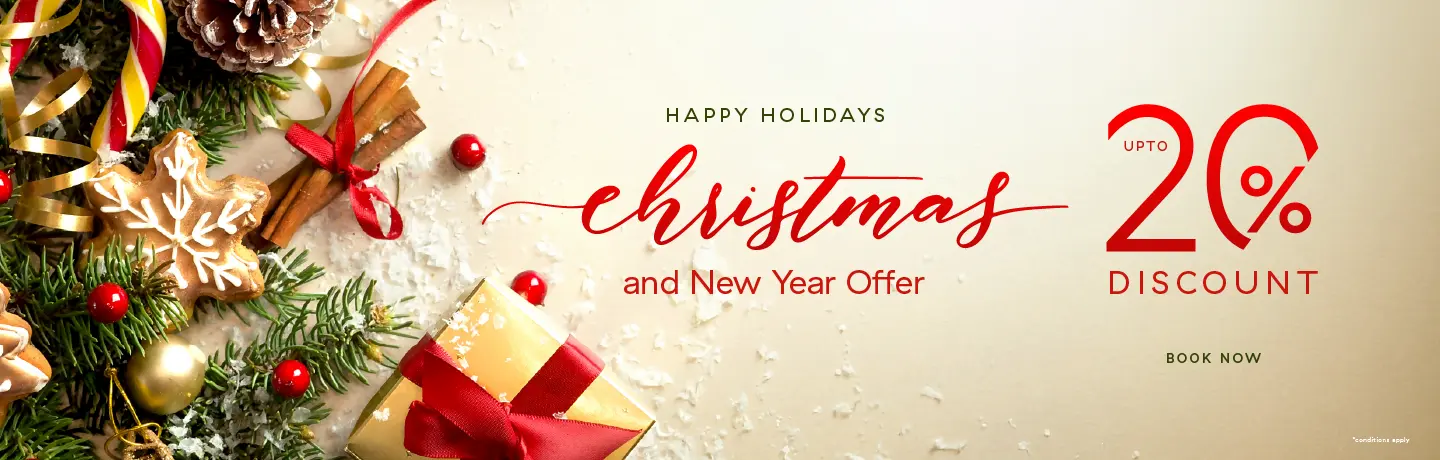 Christmas & New Year Special Offer Banner 2025
