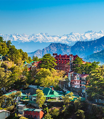 Happy client Himachal Pradesh