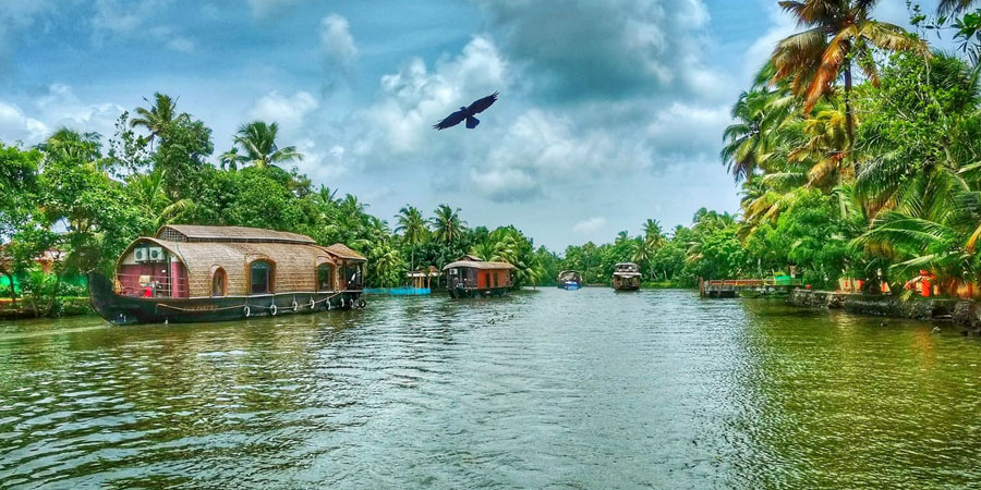 1646304998_550696-Kerala-Houseboat-Jungle-Safari.jpg