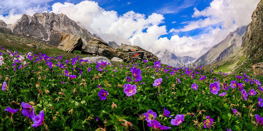 1646657098_941634-Ultimate-Odyssey-to-Uttarakhand.jpg