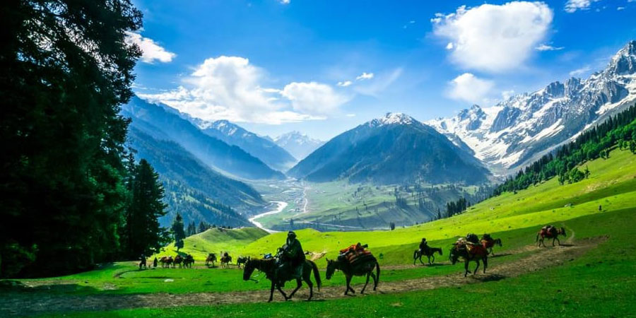 Marvelous Tour of Kashmir