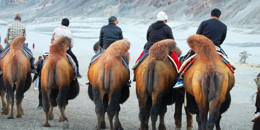 Ladakh Nubra Valley Tour,1701256357_356045-ladakh-nubra-valley-tour-slider-image.webp