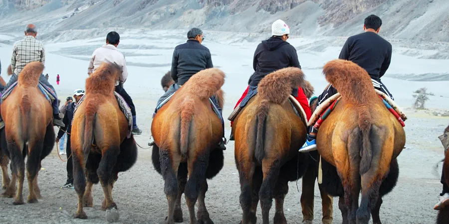 Ladakh Nubra Valley Tour, 1701256357_356045-ladakh-nubra-valley-tour-slider-image.webp