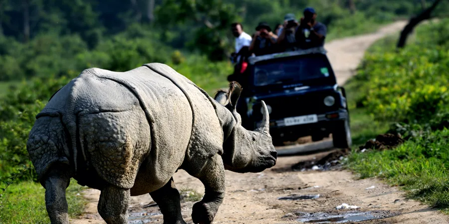 Shillong Kaziranga Tour Package, 1701684523_610712-shillong-kaziranga-tour-package-slider-image.webp