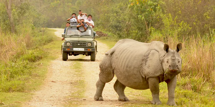 Kaziranga National Park Tour Package, 1701685991_925451-kaziranga-national-park-tour-package-slider-image.webp