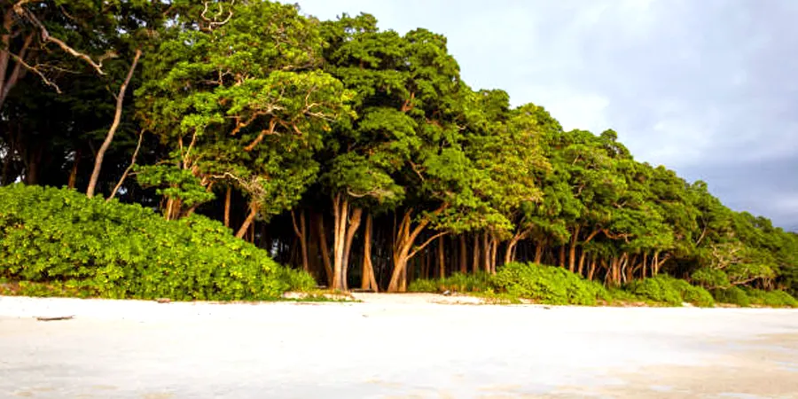 4N/5D Andaman Beach Tour, 1702901590_826968-4n-5d-andaman-beach-tour-slider-image.webp