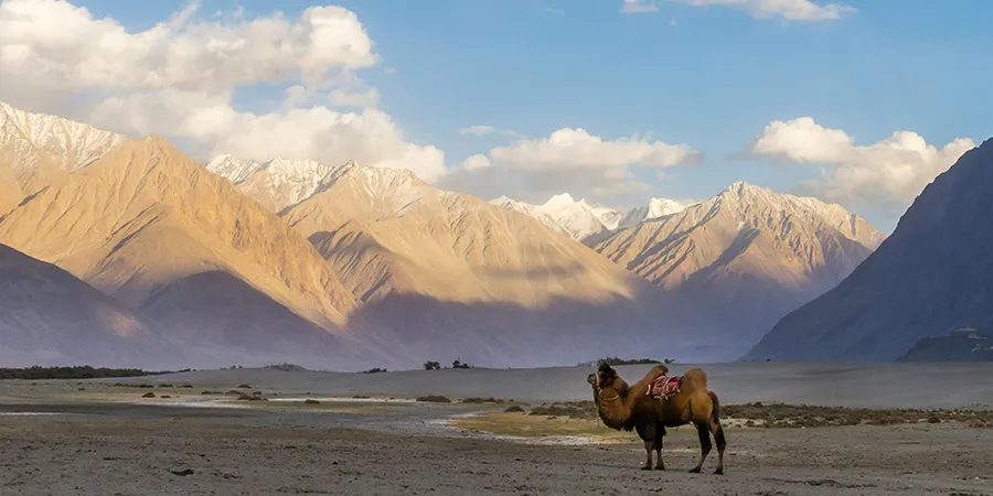 5N-6D Leh Ladakh Tour Package , 1706091253_573155-leh-ladakh-tour-package-slider-image.webp