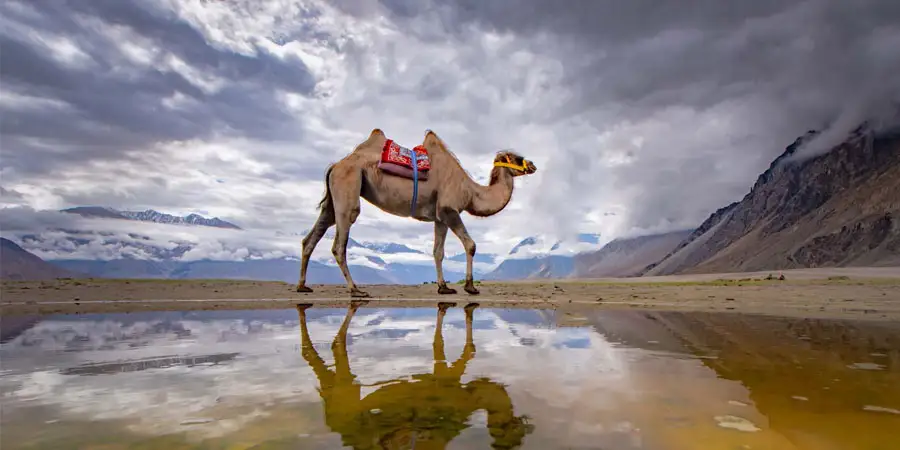 Leh Ladakh Package for Couple, 1709638760_432594-leh--ladakh-package-for-couple-package-slider-image.webp