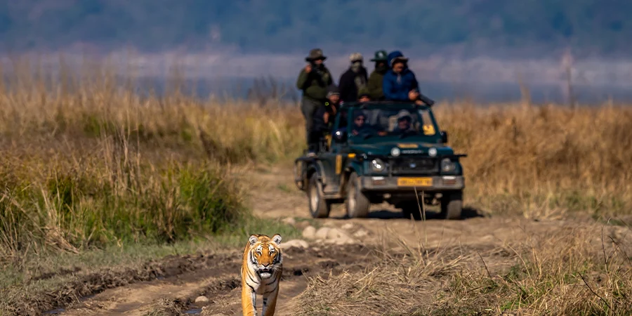 Jim Corbett Volvo Tour Package (2N / 3D)