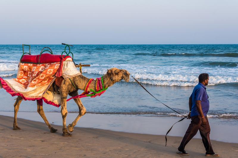 1597832618_708478-camel-ride-beach-puri-april-man-walks-his-decorated-looking-tourists-sea-odisha-india-popular-tourist-activity-114951488.jpg
