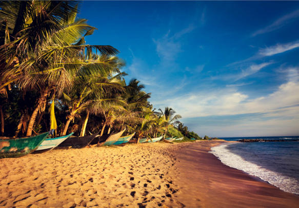 1600252110_320726-Bentota_Beach_in_Sri_Lanka_1_-_Copy.jpg