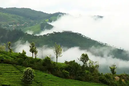 1708426741_94911-wayanad-2-Nights-3days-package-image.webp