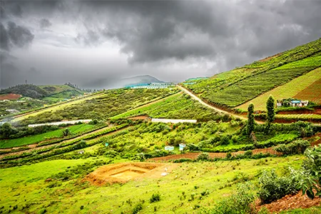 Ooty Madurai Rameshwaram South India Tour – 7N/8D 1761375344_934815-Ooty-Madurai-Rameshwaram-South-India-Tour.webp