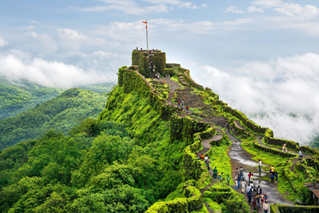 Misty Meadows of Mahabaleshwar