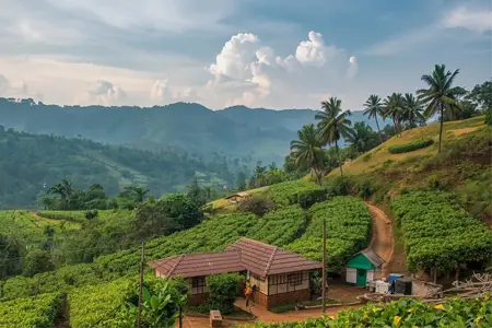 Vizag Araku Lambasingi Tour