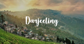 Dazzling Darjeeling
