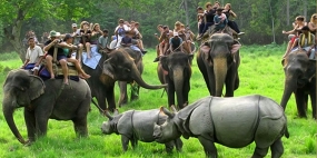 1598078500_95742-Kaziranga-elephant-safari.jpg