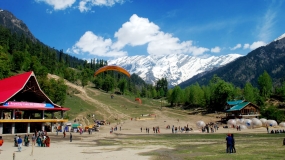 Exotic Manali by Bus