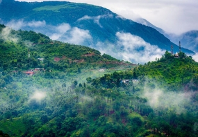 Divine Dharamshala by Volvo