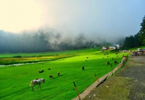 Exciting Dharamshala Dalhousie by Volvo