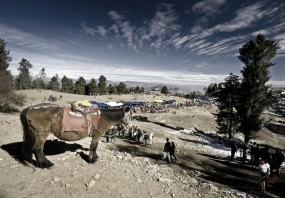 Weekend Trip to Shimla by Volvo