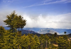 Scenic Shimla Honeymoon Package From Delhi