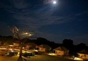 Desert Delight Rajasthan Tour Package