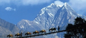 Sikkim Engrossed