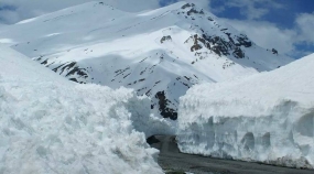 Combo Manali with Dharamshala (by Car)