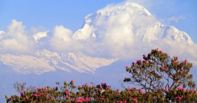 Himalayan Golden Triangle