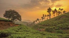 Misty Munnar