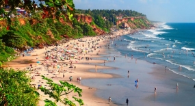 Beach Wonders