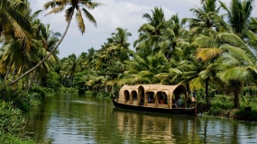 Exotic Kerala