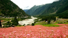 Himachal off-Beat with Manali