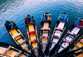 City of Lakes with Corbett 1637235835_429765-nainital.jpg