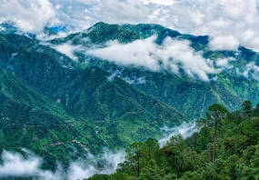 Nainital - Kausani Delights