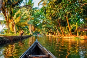 Backwater Ripples