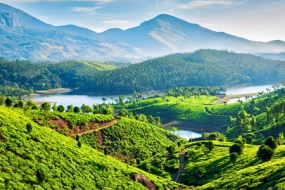 Misty Munnar