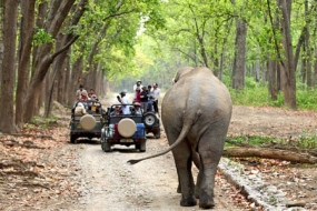 5N/6D Jim Corbett Nainital Tour