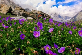 Ultimate Odyssey to Uttarakhand