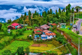 Himalayan Tranquility
