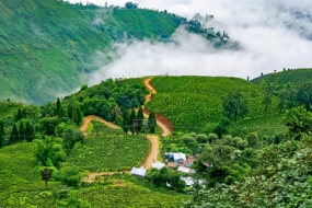 Himalayan Golden Triangle
