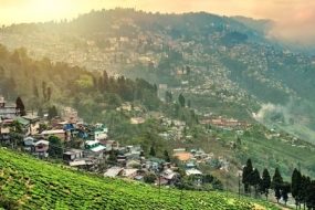 Dazzling Darjeeling