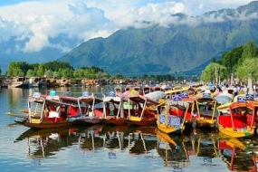 Pride Of Kashmir 1647949746_433039-Pride-Of-Kashmir.jpg