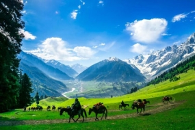Marvelous Tour of Kashmir