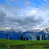 Golden Meadows of Kashmir