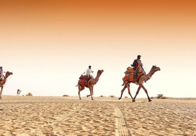 Pink city with Ajmer / Pushkar
