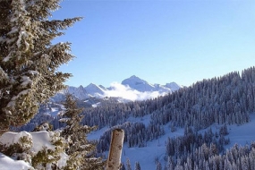 Exotic Luxury Tour of Manali